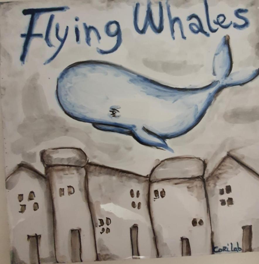 Flying Whales Apartment Syracuse Bagian luar foto